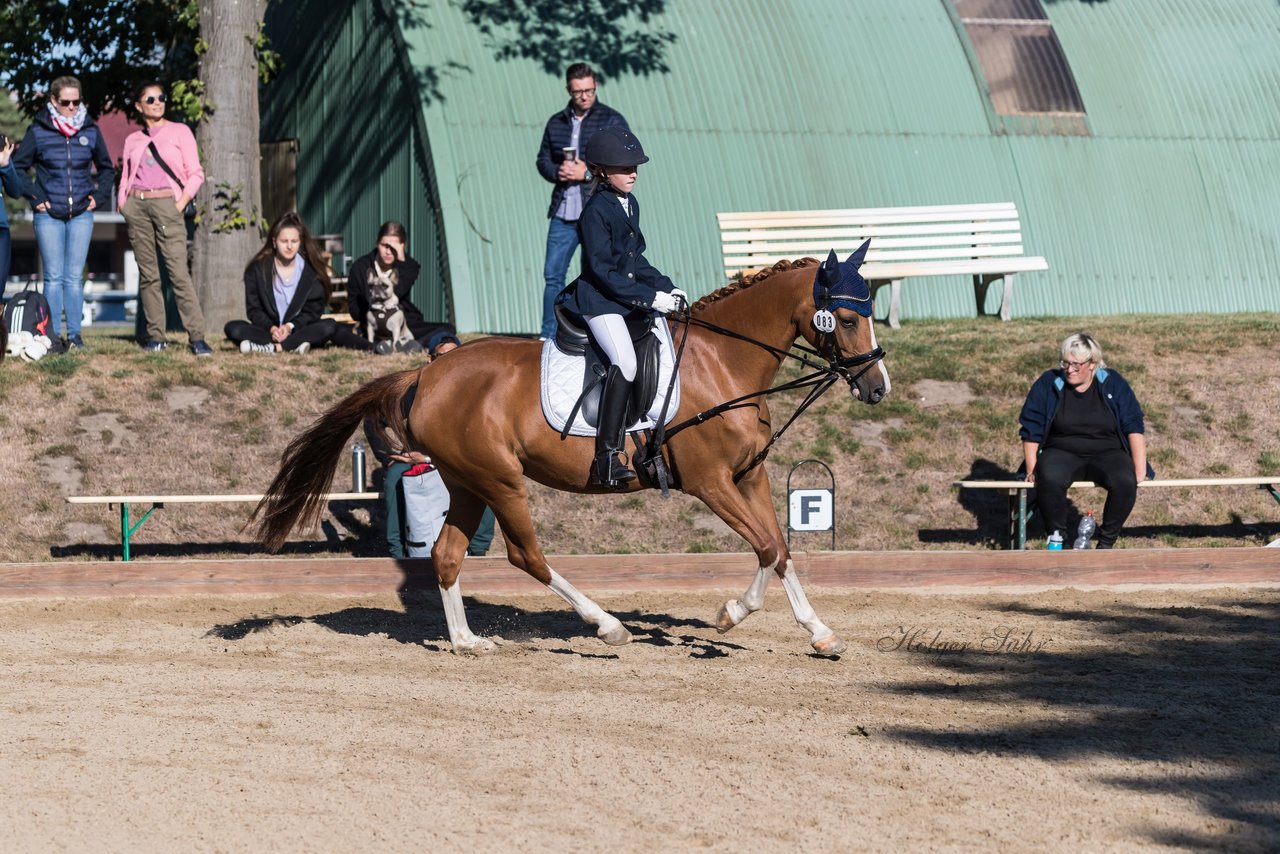 Bild 63 - Pony Akademie Turnier